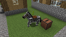 Zebra shuffling