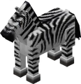 A zebra.
