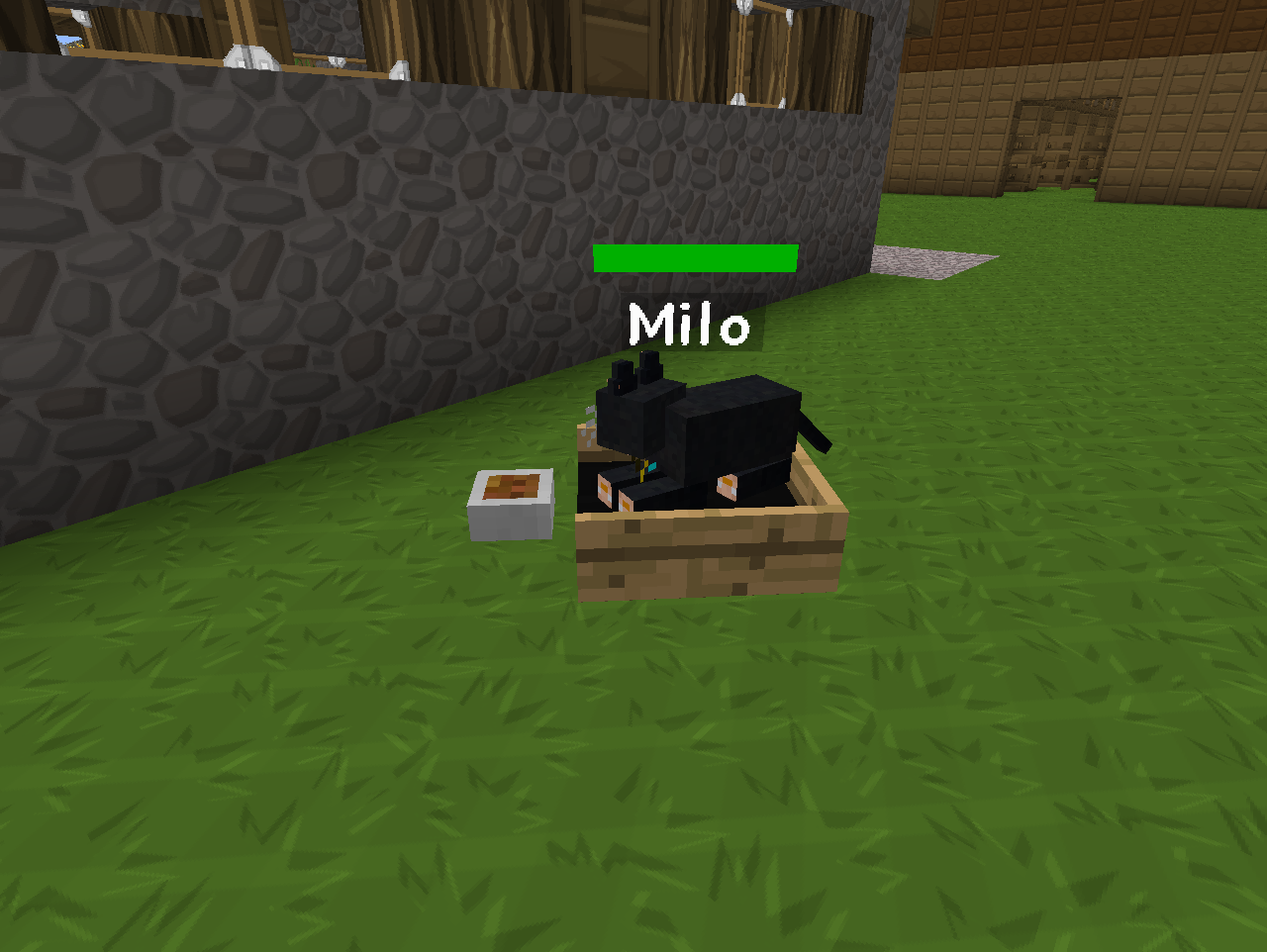 Kitty Bed Official Mo Creatures Wiki