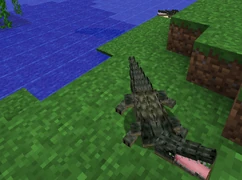 Crocodile - Official Mo' Creatures Wiki