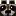 Icon raccoon