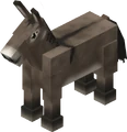 A donkey.