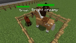 A tier 1 horse that was obtained by breeding a palomino snowflake horse with a brown Minecraft horse.