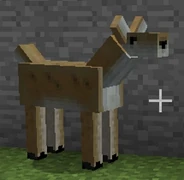 Deer - Official Mo' Creatures Wiki