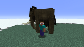 Player and mammoth