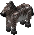 A zorse.