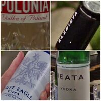 Vodkas