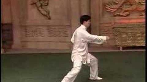 Chen_Taijiquan_-_Laojia_Er_Lu_(Pao_Chui)