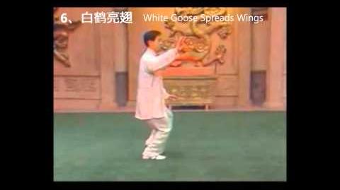 18-Form Chen-Style Taijiquan