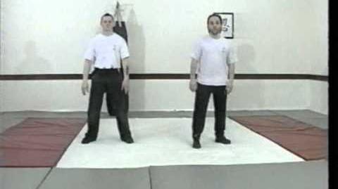 Tai_Chi_5_steps