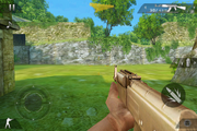 Gold AK FP