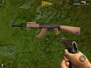 World model of the stock AK