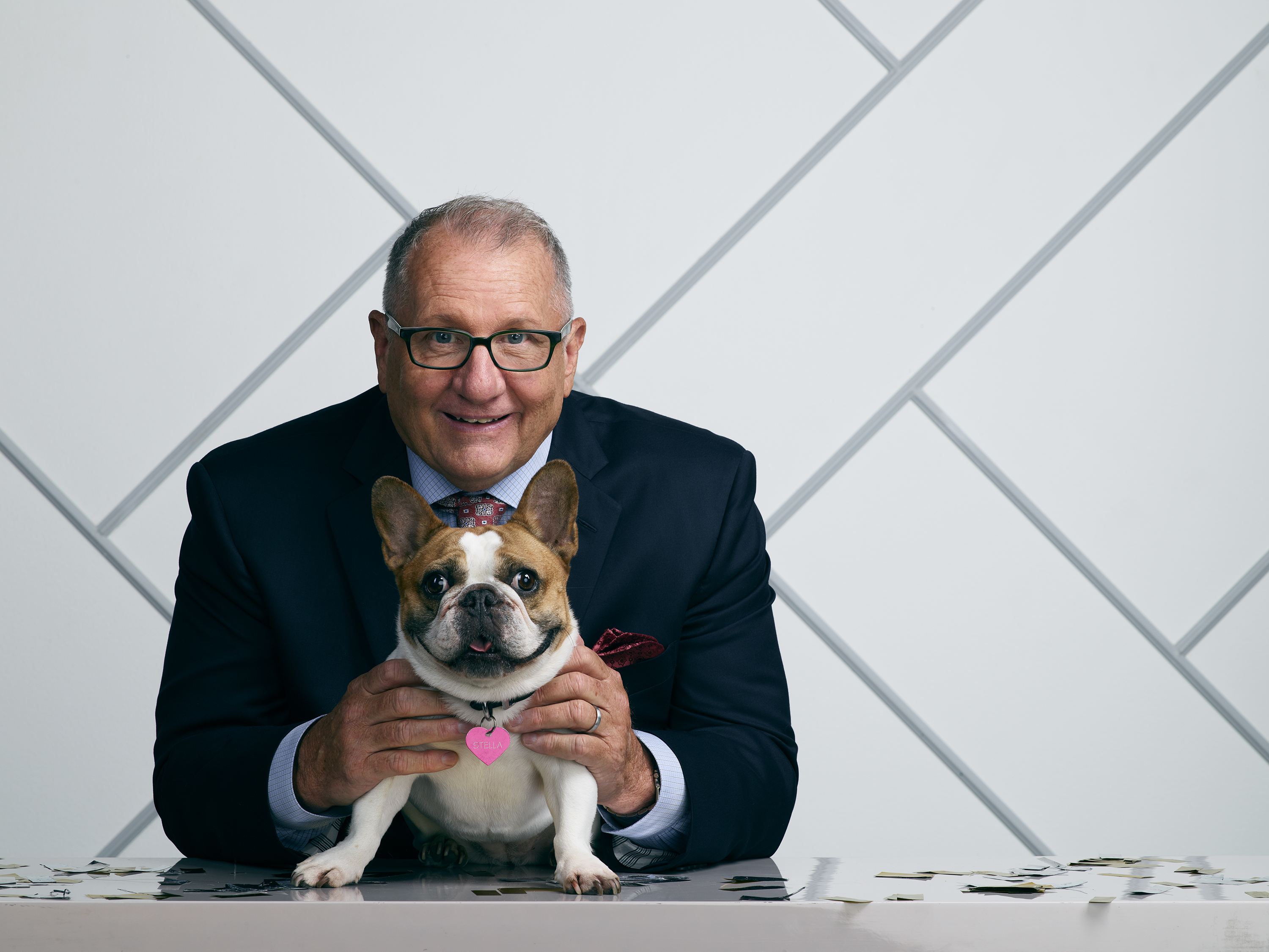 Dog beds hotsell by stella