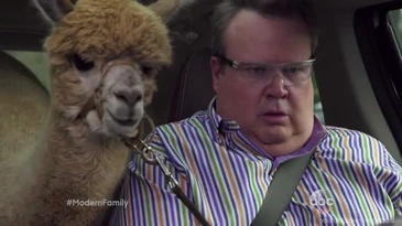 Cameron Tucker with the llama