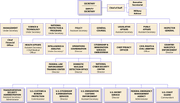 Homeland-security-orgchart-2008-07-17