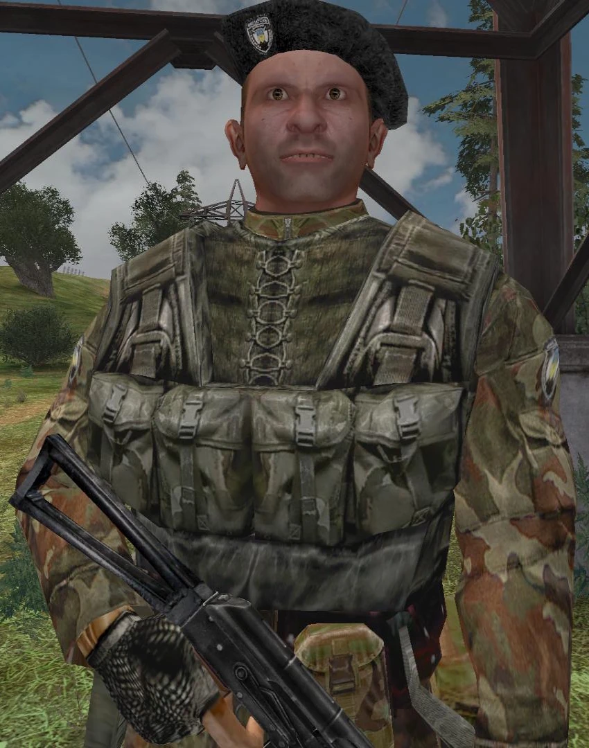 сталкер военные. прапорщик казаков дмб. стрелок сталкер тень чернобыля. егор шерстюк. 2 шерстюк.