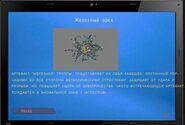 Информация об артефакте с компьютера