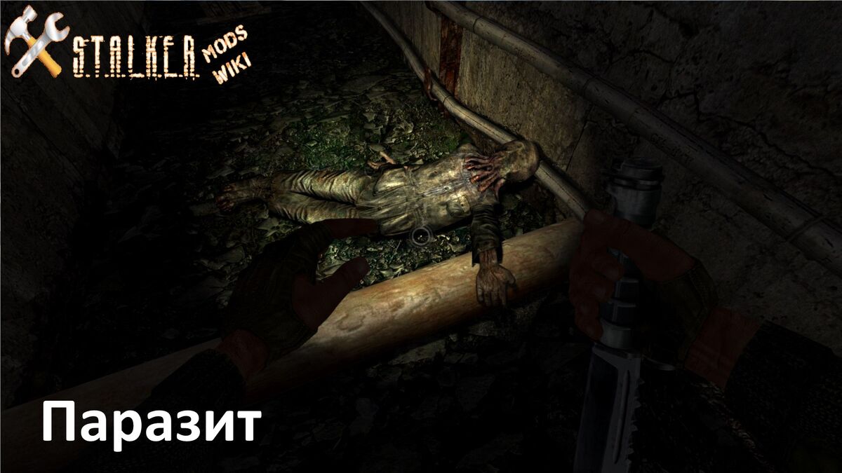 Паразит | S.T.A.L.K.E.R. Моды Wiki | Fandom