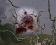 478878426 preview anomalii-stalker-ten-chernobylja 6