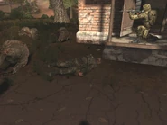 Погибший Ермак после нападения мутантов