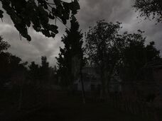 LA mil.jpg