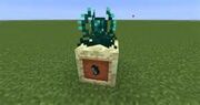 Ender Lily Seeds