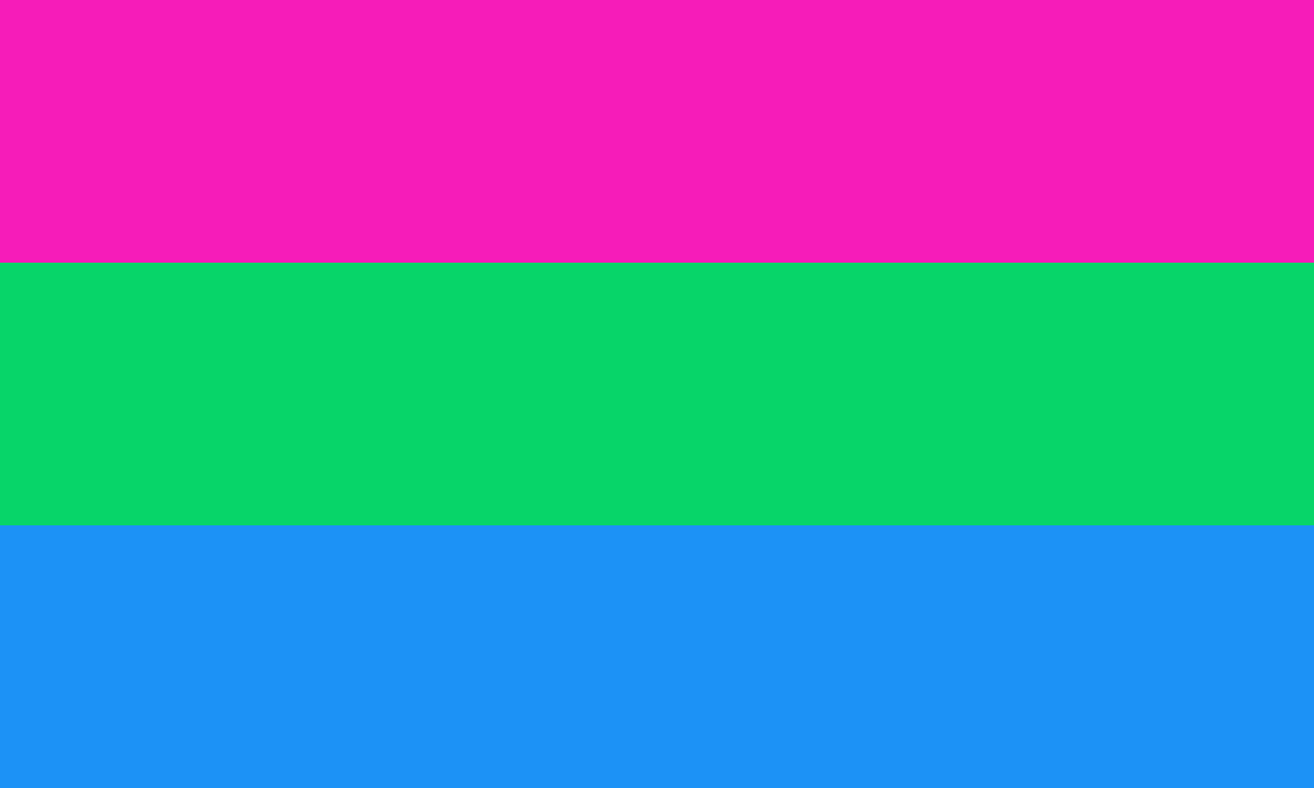 폴리섹슈얼polysexual Mogai Pride Flag 위키 Fandom 2047