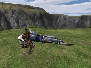 Lanceflingue Hypnocatrice Espèce Rare