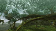 MHFU-Great Forest Screenshot 005.png (3,24 Mio) Zone 5