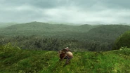 MHFU-Great Forest Screenshot 019.png (2,06 Mio)