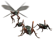 Hornetaur