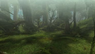 MHFU-Great Forest Screenshot 031.png (753 kio)