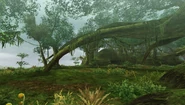 MHFU-Great Forest Screenshot 016.png (944 kio)
