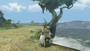 MHGU Jungle Screenshot 002.jpg (307 kio) Zone 2