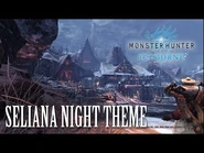 Thème de Seliana durant la nuit