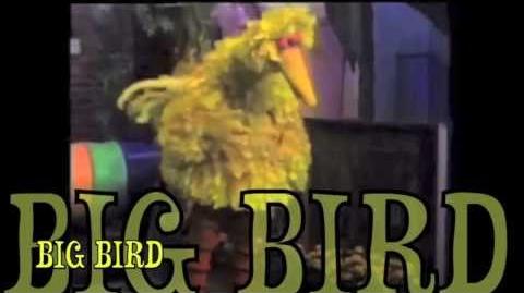 Big Bird Vs. Winnie the Pooh