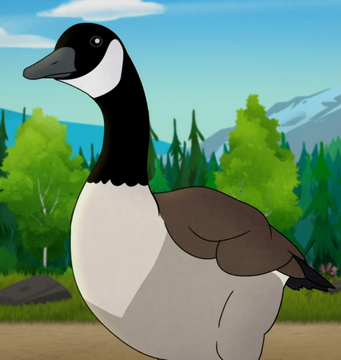 Canada goose bilbao wiki hotsell