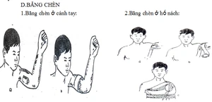 GDQP-AN 11 bài 7 hình 5