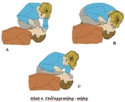 GDQP-AN 11 bài 7 hình 10