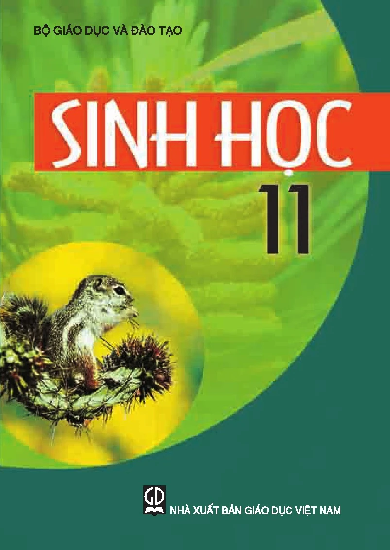 Sinh học 11