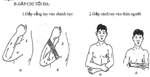 GDQP-AN 11 bài 7 hình 4