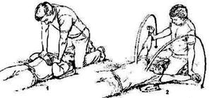 GDQP-AN 11 bài 7 hình 12