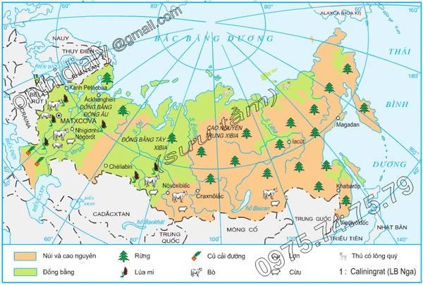 Diali11bai8.3-hinh2a