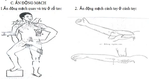 GDQP-AN 11 bài 7 hình 2