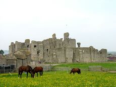 MiddlehamCJW