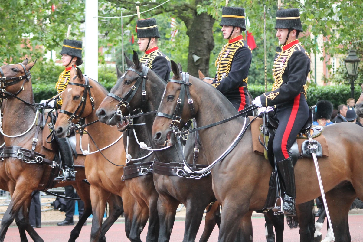 Royal Horse Artillery | Monarchies Wiki | Fandom