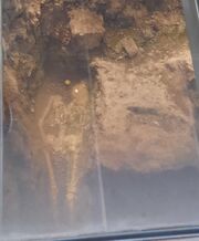 Original grave of Richard III