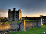 Trim Castle 6