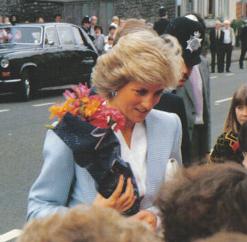 Diana is pictured with a green Lady D as she visits the Royal Marsden  hospital in February 1993