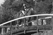 Internationale Military te Boekelo, Prinses Anne van Engeland in aktie, Bestanddeelnr 931-1059